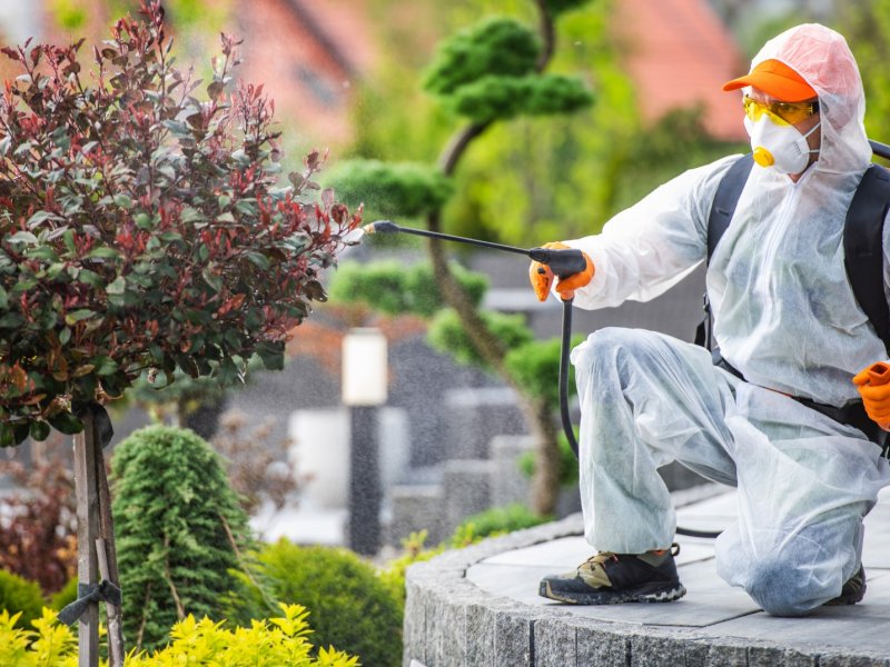 İzmir Haşere İlaçlama