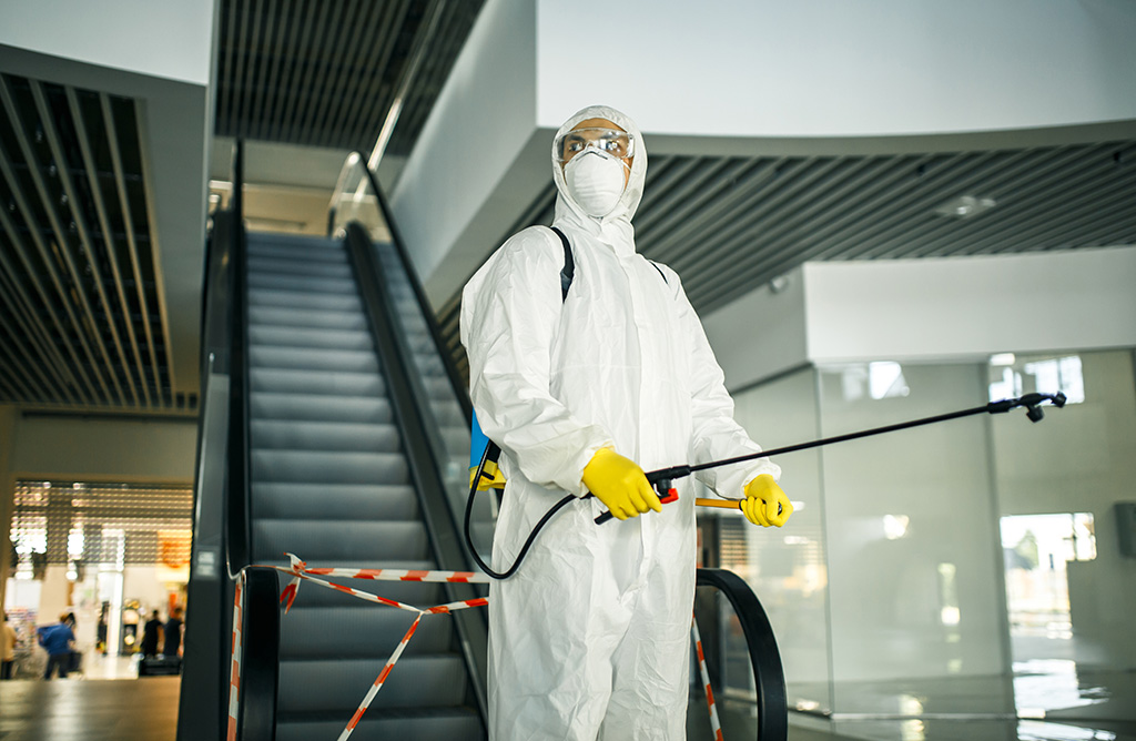 İzmir Haşere İlaçlama